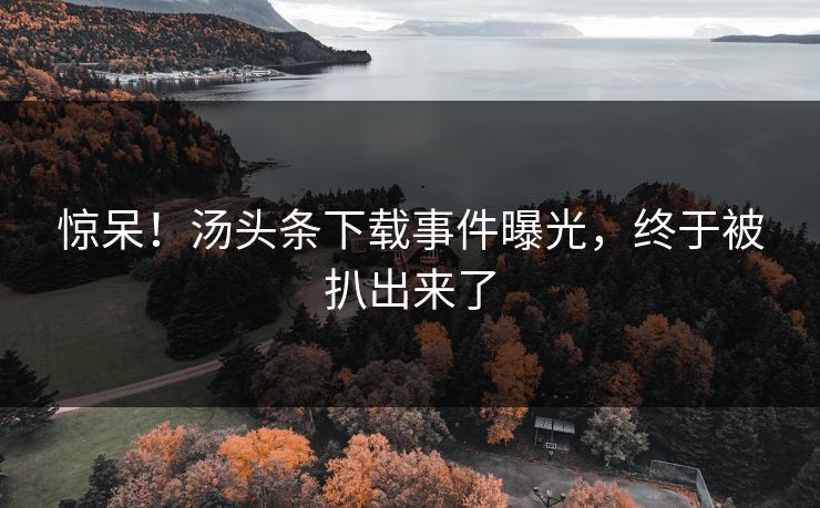 惊呆！汤头条下载事件曝光，终于被扒出来了
