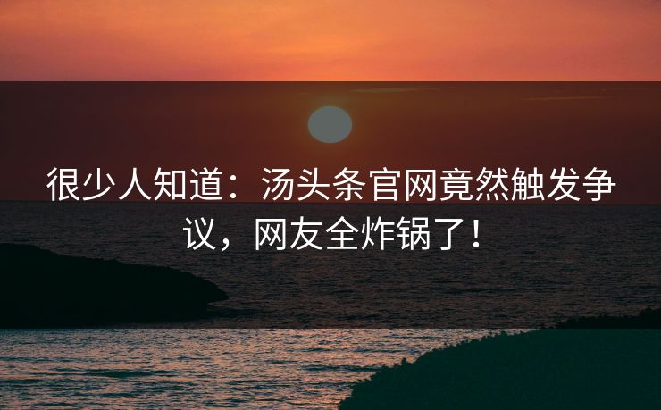很少人知道：汤头条官网竟然触发争议，网友全炸锅了！