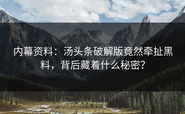 内幕资料：汤头条破解版竟然牵扯黑料，背后藏着什么秘密？
