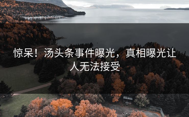 惊呆！汤头条事件曝光，真相曝光让人无法接受