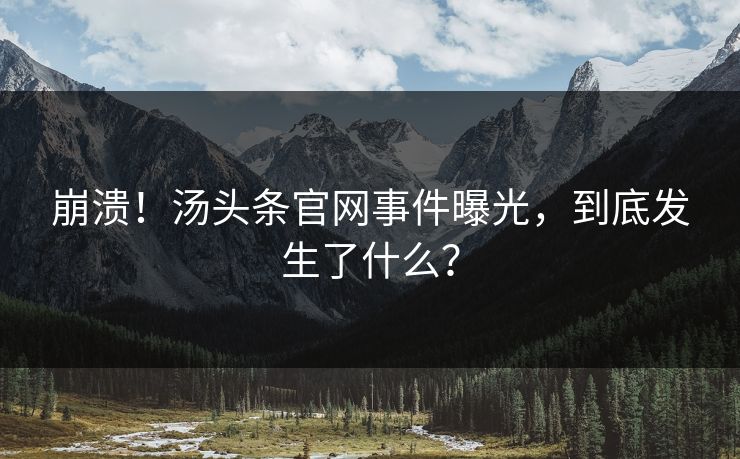 崩溃！汤头条官网事件曝光，到底发生了什么？