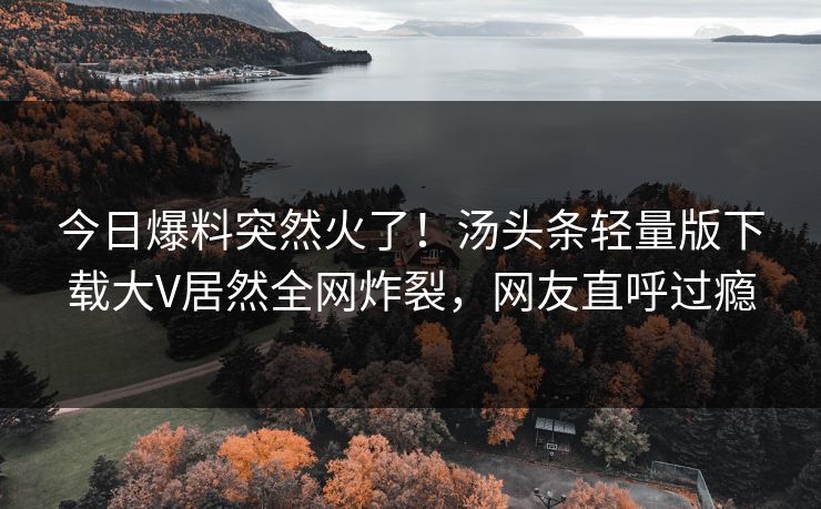 今日爆料突然火了！汤头条轻量版下载大V居然全网炸裂，网友直呼过瘾