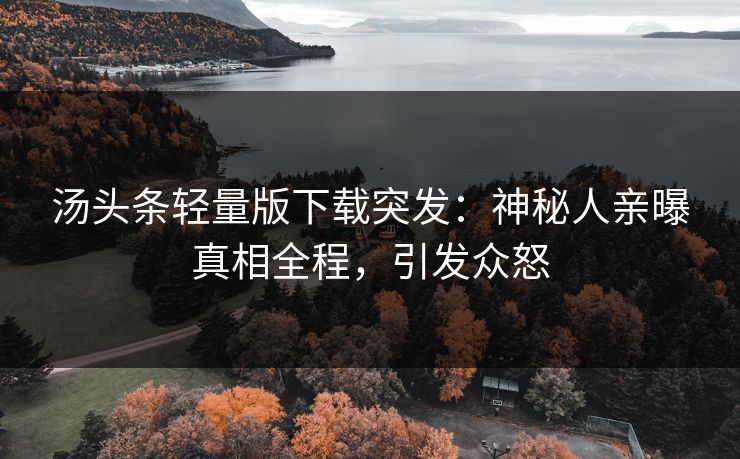 汤头条轻量版下载突发：神秘人亲曝真相全程，引发众怒
