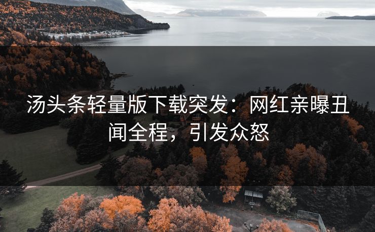 汤头条轻量版下载突发：网红亲曝丑闻全程，引发众怒