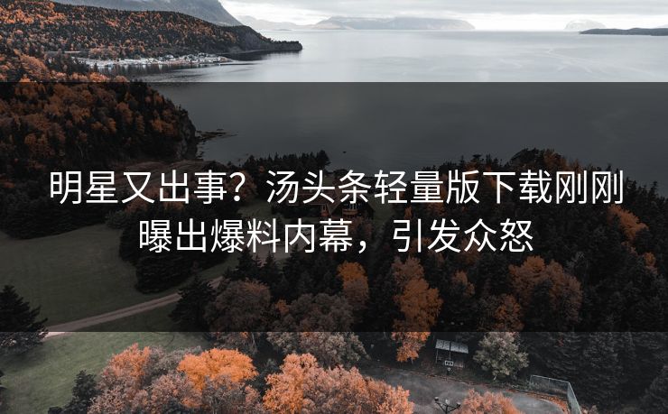 明星又出事？汤头条轻量版下载刚刚曝出爆料内幕，引发众怒