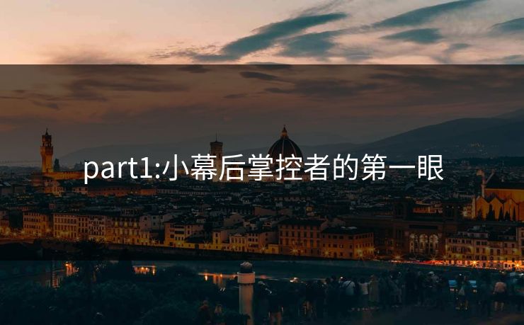 part1:小幕后掌控者的第一眼