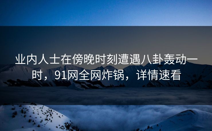 业内人士在傍晚时刻遭遇八卦轰动一时，91网全网炸锅，详情速看