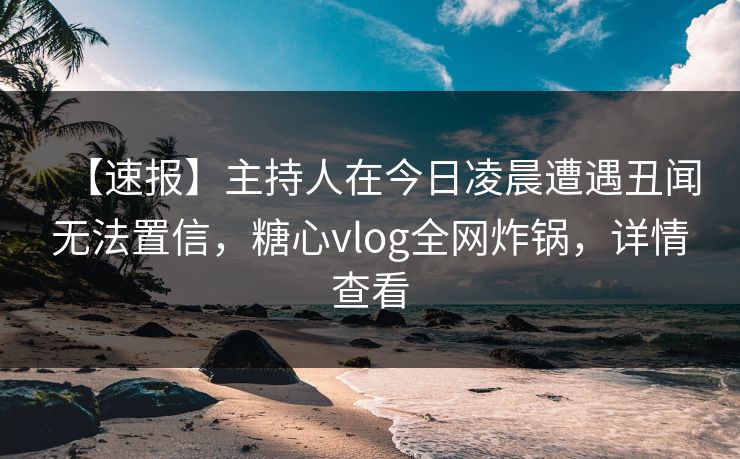 【速报】主持人在今日凌晨遭遇丑闻无法置信，糖心vlog全网炸锅，详情查看
