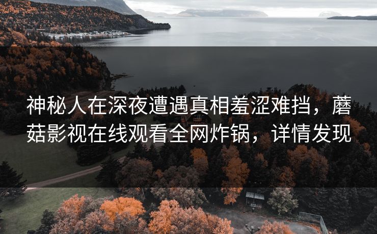 神秘人在深夜遭遇真相羞涩难挡，蘑菇影视在线观看全网炸锅，详情发现
