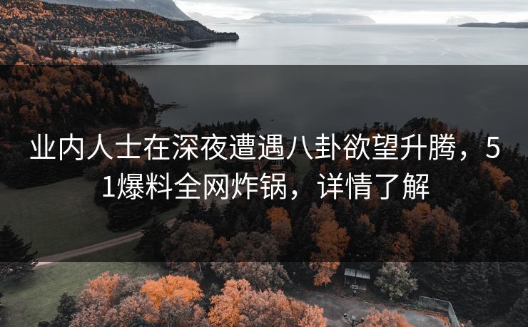 业内人士在深夜遭遇八卦欲望升腾，51爆料全网炸锅，详情了解