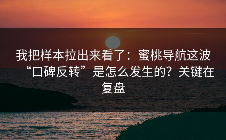 我把样本拉出来看了：蜜桃导航这波“口碑反转”是怎么发生的？关键在复盘